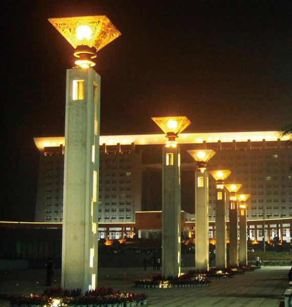 广场花季视频黄夜景照明案例效果图